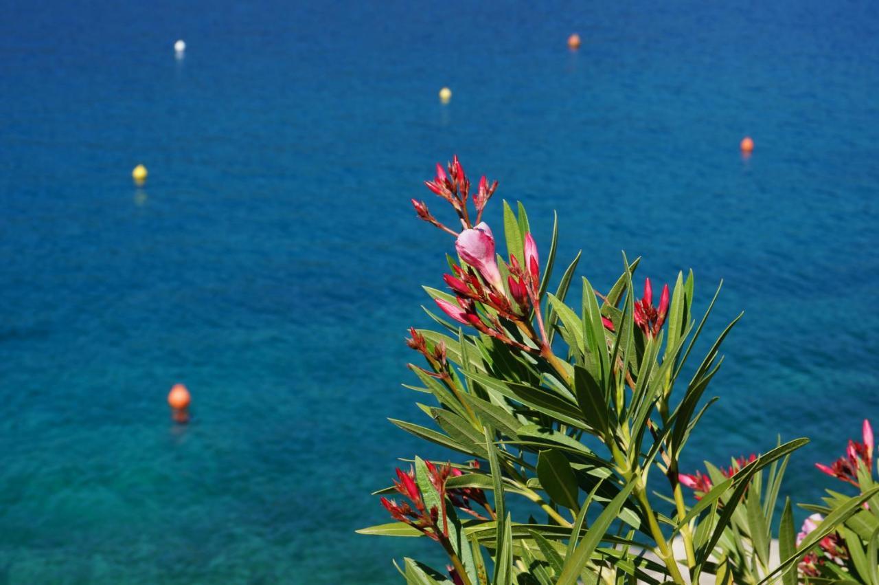 Michelle - Intermezzo With Sea View *