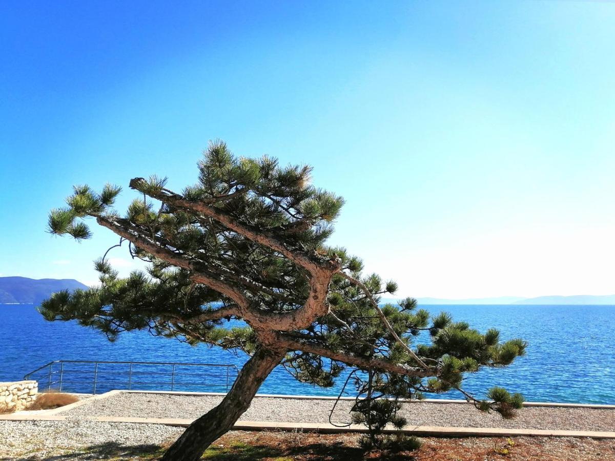Apartment Michelle - Intermezzo With Sea View