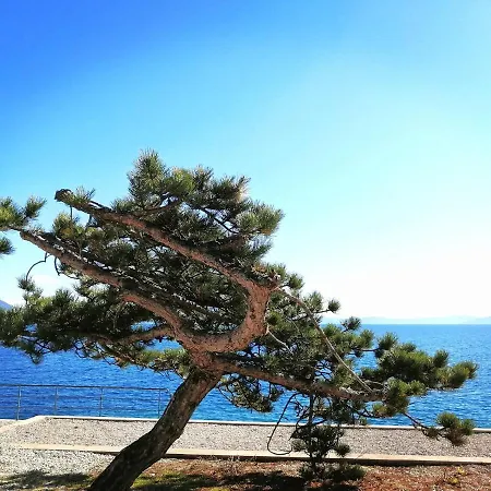 Studio Apartment Michelle - Intermezzo With Sea View Rabac Exterior photo